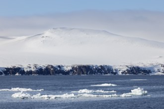 Drift ice, sea ice, sea, mountain range, snow, Faksevagen, Spitsbergen, Svalbard