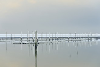 Winter day, onset of winter, snow on the jetties in the marina, North Sea, Norddeich, Lower Saxony,