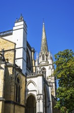 Cathedrale Sainte-Marie in Bayonne, Basque Country, Southwest France