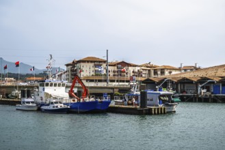Marina in Saint-Jean-de-Luz, Nouvelle-Aquitaine, Pyrenees-Atlantiques, France