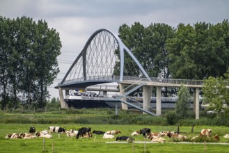 The Liniebrug, bicycle and pedestrian bridge over the Amsterdam-Rhine Canal near the village of