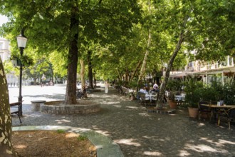 Hviezdoslav Square, promenade with trees, benches and cafés in Bratislava, Slovakia