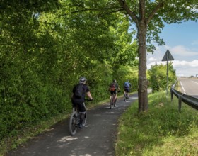 Cyclist on a cycle path between corn fields and trees along the route between Frankfurt am Main and