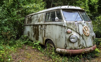 Old, weathered VW bus parked in a wooded area, Hesse, Germany