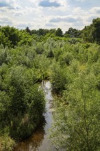 Bottrop, North Rhine-Westphalia, Germany - Renaturalised Boye, the tributary of the Emscher, was