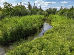 Bottrop, North Rhine-Westphalia, Germany - Renaturalised Boye, the tributary of the Emscher, was