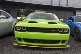 Dodge Challenger for sale at the dealer in Mannheim