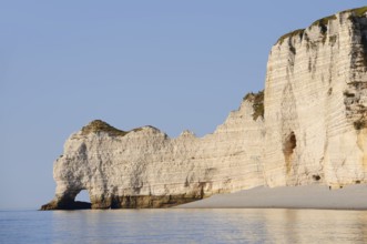 Cliffs with the Porte d'Amont rock gate, Etretat, Alabaster Coast, Seine-Maritime, Normandy, France