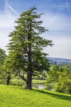 Farms in Lake District National Park, Cumbria, England, United Kingdom
