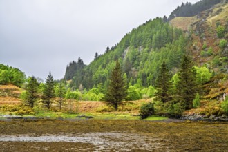 Ault a'chruinn, Loch Duich, Scotland, UK