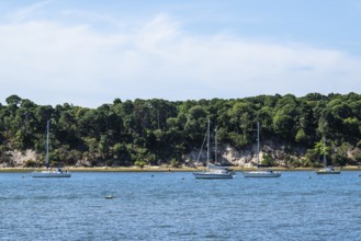 Boats over Brownsea Island, Poole, Dorset, England, United Kingdom