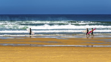 Surfer on Contis beach, Saint Julien en Born, Saint-Julien-en-Born, Landes, France