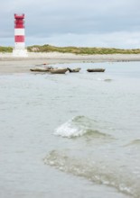 Several harbour seals (Phoca vitulina), seals, resting at low tide at the edge of the water, shore,