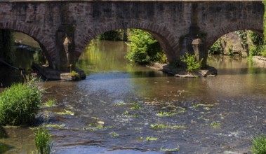 The old town centre with the town wall and the Seemenbach stream, Büdingen, Hesse, Germany