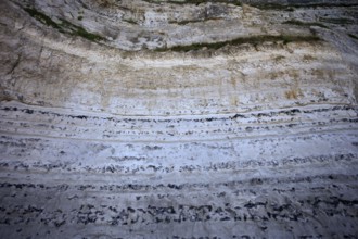 Flint inclusions in chalk cliffs, beach, pebble beach, Étretat, cliff, cliffs, chalk cliffs,