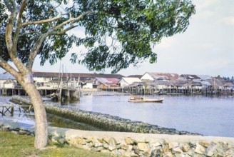 Attap houses and wooden jetties in fishing village on stilts, Singapore, southeast Asia c 1963