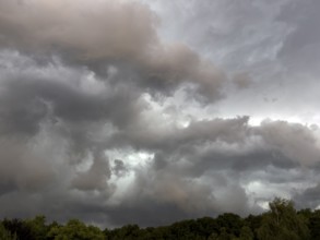 Dark discoloured thunderclouds Cloud roll moves over forest area above grey clouds Rain clouds