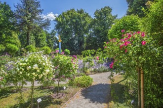 Rosarium with blooming roses and lavender on the Rose Island in Lake Starnberg, Feldafing, Upper