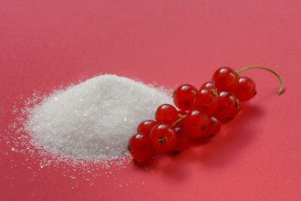Redcurrants and piles of sugar