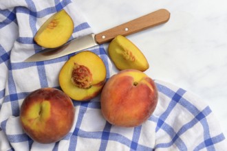 Peach with knife on kitchen towel, peach halves, Prunus persica