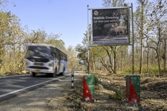 Shield Wildlife Crossing, Corbett National Park, near Ramnagar, Uttarakhand State, India