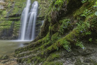 Two beautiful waterfalls flow gracefully into a tranquil pool lined with vibrant green foliage.
