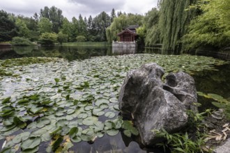 Chinese Garden, Gardens of the World, Berlin, Germany