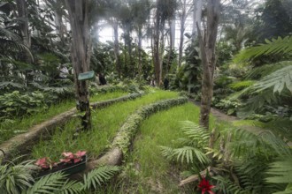 Balinese Garden, Gardens of the World, Berlin, Germany