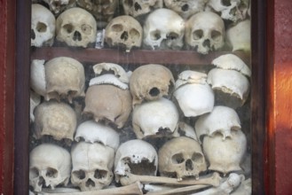 Shrine with human skull, memorial to the victims of the Khmer Rouge regime, Wat Thmei, Siem Reap,