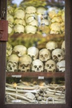 Shrine with human skull, memorial to the victims of the Khmer Rouge regime, Wat Thmei, Siem Reap,