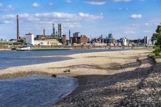 Low water of the Rhine near Leverkusen, Rhine bank, left bank of the Rhine, near Cologne-Merkenich,