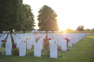Gravestones, war graves, soldiers' graves, flowers, roses, British and German military cemetery,