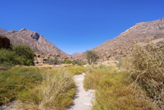 Tsisab Gorge, White Lady Trail, desert landscape with mountains, Brandberg, Erongo, Damaraland,