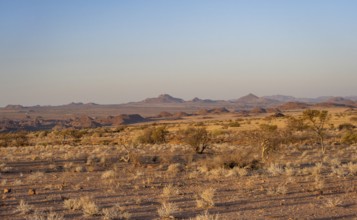 Desert landscape in the evening light at sunset, barren landscape with hills of stacked rocks,