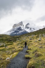 Hikers on a hiking trail to the Mirador de los Cuernos, Cuernos del Paine mountain range in autumn,