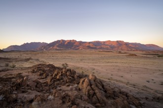 Desert landscape with Brandberg at sunrise, Erongo, Damaraland, Namibia