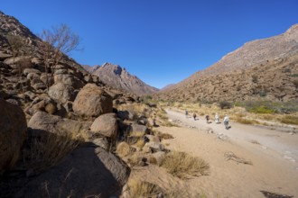 Tourists on a hiking trail in the Tsisab Gorge, White Lady Trail, desert landscape, Brandberg,
