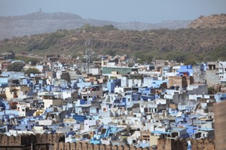 City view of the blue houses of Jodhpur, Rajasthan, India