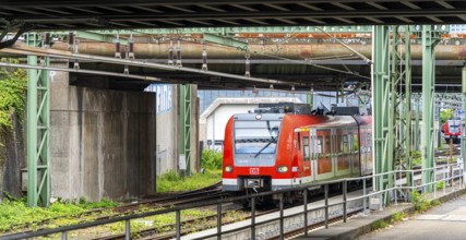 Bridge at Camberger Straße, Galluswarte, Deutsche Bahn, tracks and trains, Frankfurt am Main,