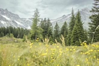 View of Hohe Sonnblick, Kolm Saigurn, Rauris, Pinzgau, Salzburg, Austria