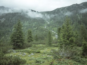 Windbachtal, Krimmler Tauern, Pinzgau, Salzburg, Austria