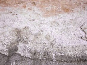 Salin-de-Giraud, Arles, France