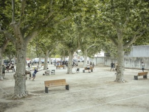 Boules game, Bellegarde, Arles, Provence, France