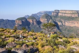 Blyde River Canyon with Three Rondawels peak, view of canyon and table mountains, canyon landscape,