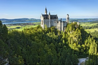 Neuschwanstein Castle by King Ludwig II above the Pöllat Gorge, fairytale castle in the