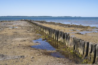 Wooden groynes on the coast, breakwater, Laboe, Baltic seaside resort, fjord, Baltic Sea, North