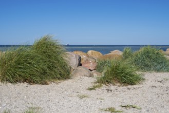 Large stones as a boundary on the sandy beach, Laboe, Baltic resort, Fjord, Baltic Sea, North