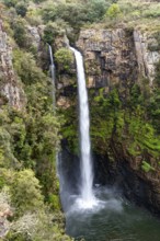 High waterfall in a canyon, Mac-Mac Falls, long exposure, near Graskop, Mpumalanga, South Africa