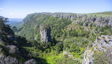 Rock needle in a densely forested canyon, Pinnacle Rock, view over canyon landscape, near Graskop,
