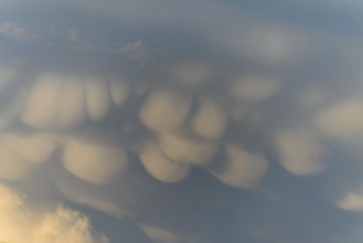 Unusual cloud structures create captivating shapes against a backdrop of warm colours as the sun